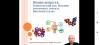 Использование новых информационных технологий